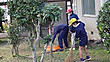 Photo_9