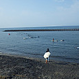 Srimg8915_2